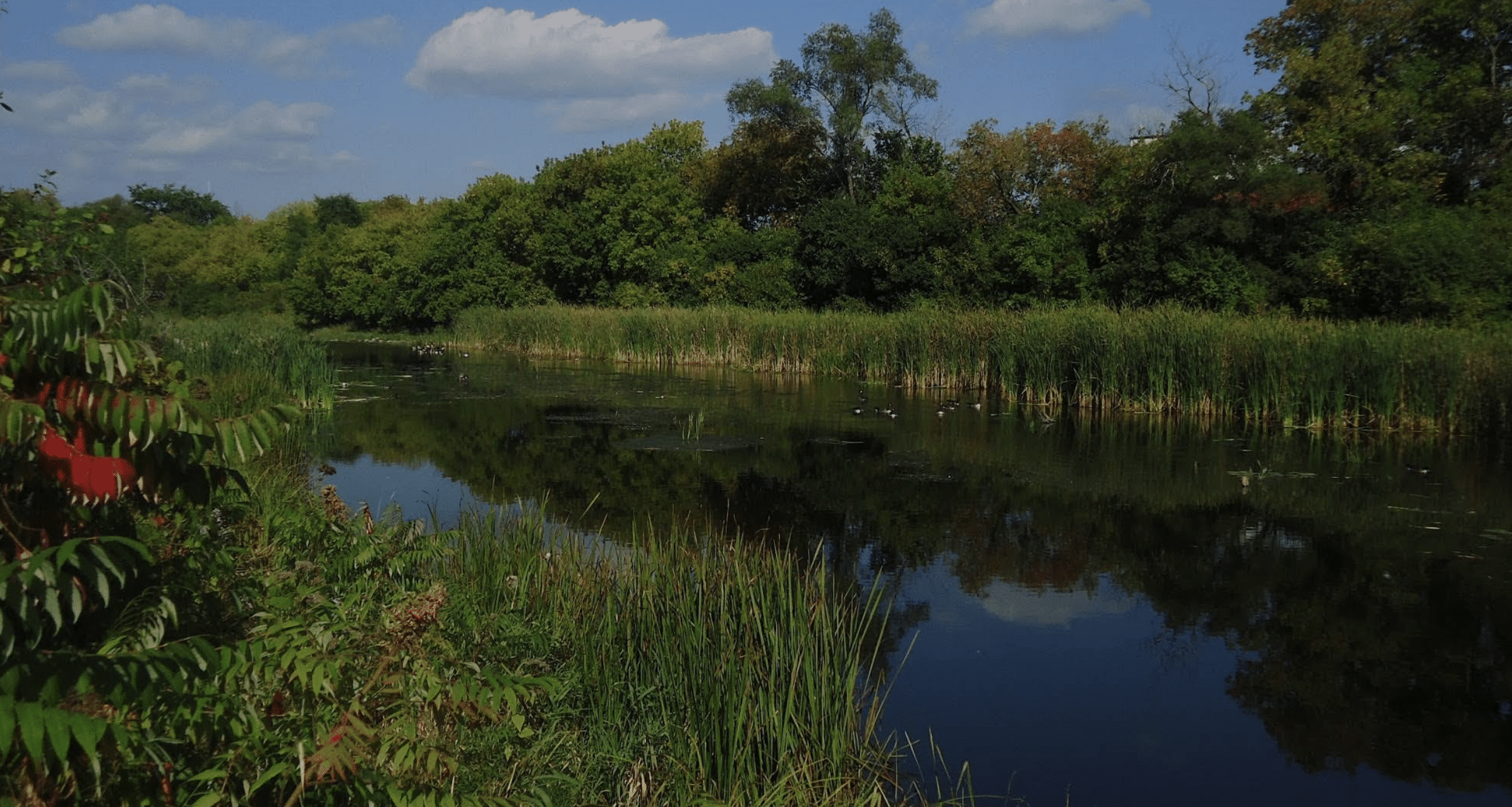 Ruisseau de la Brasserie